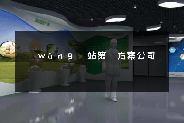 網(wǎng)站策劃方案公司
