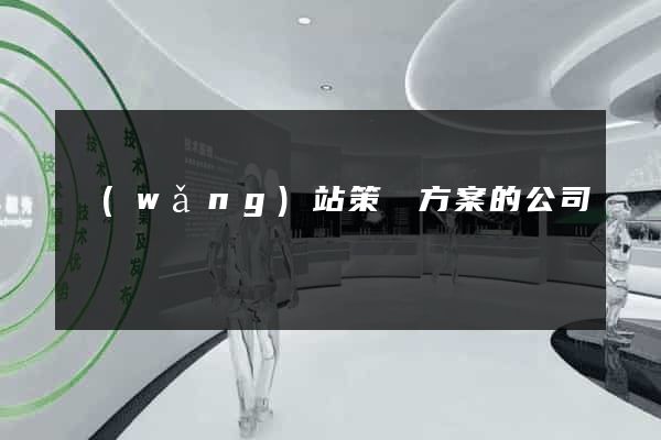 網(wǎng)站策劃方案的公司