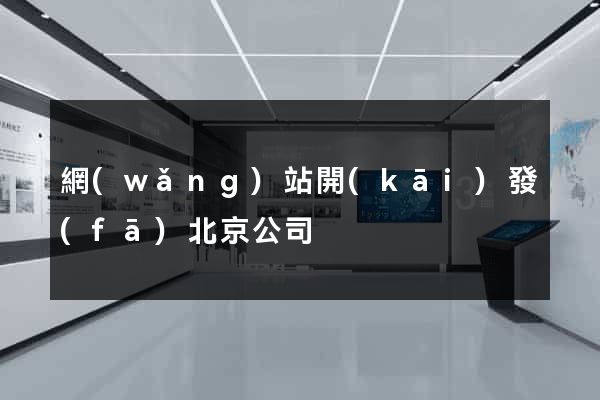 網(wǎng)站開(kāi)發(fā)北京公司