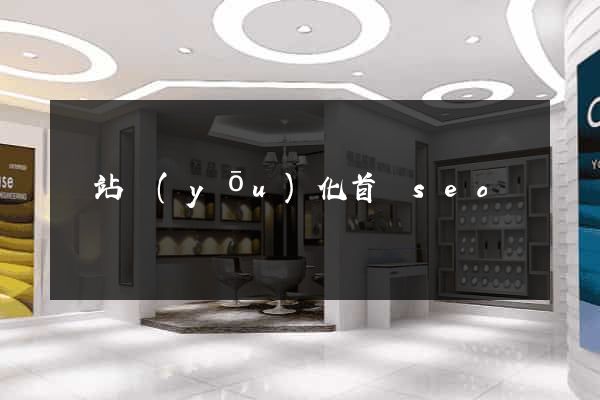 網站優(yōu)化首頁seo