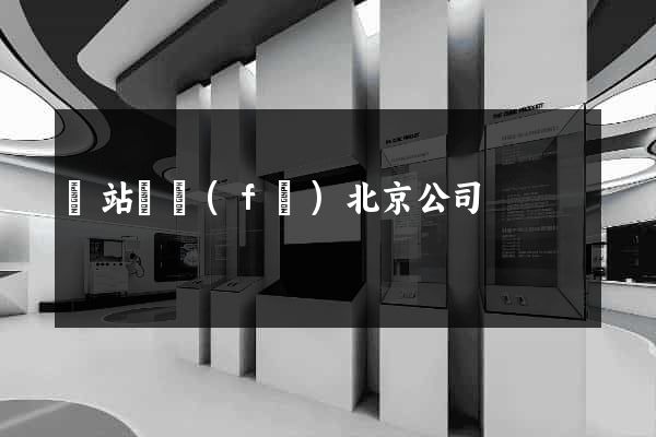 網站開發(fā)北京公司