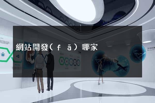 網站開發(fā)哪家