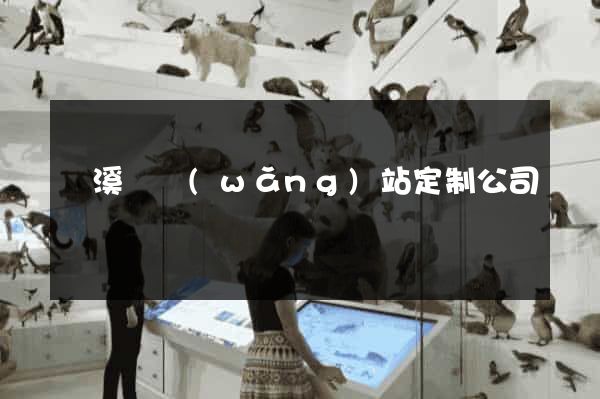 績溪縣網(wǎng)站定制公司