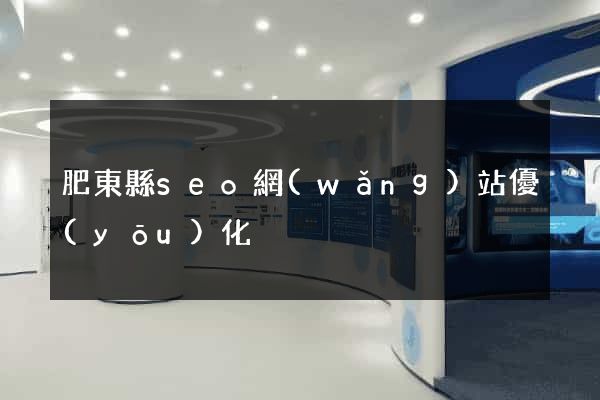 肥東縣seo網(wǎng)站優(yōu)化