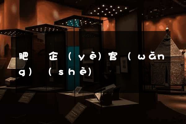 肥東縣企業(yè)官網(wǎng)設(shè)計