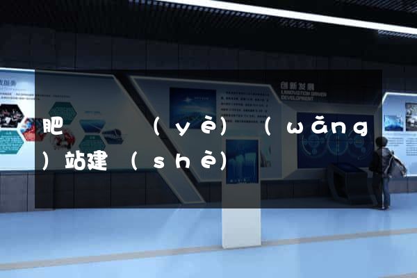 肥東縣專業(yè)網(wǎng)站建設(shè)