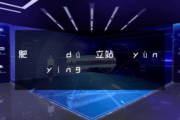肥東縣獨(dú)立站運(yùn)營(yíng)