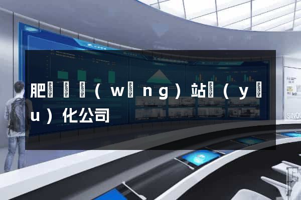 肥東縣網(wǎng)站優(yōu)化公司