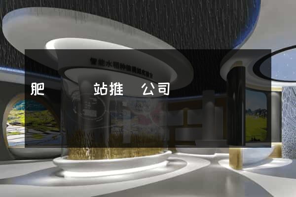 肥東縣網站推廣公司