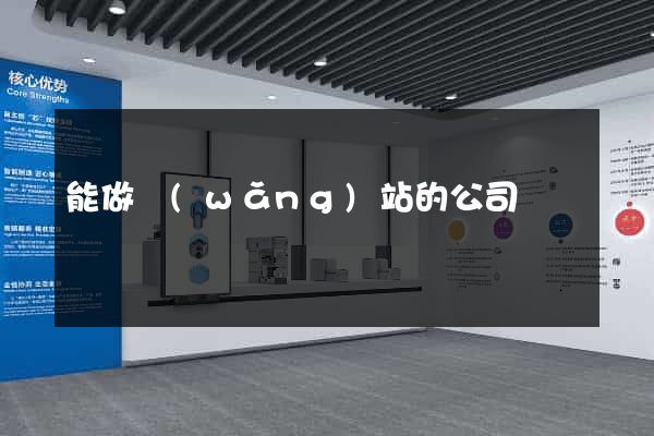 能做網(wǎng)站的公司