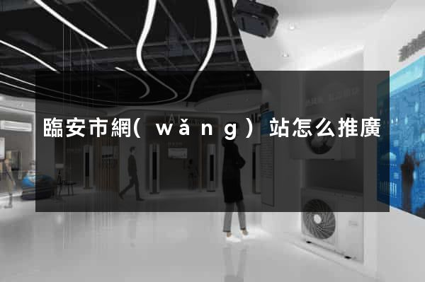 臨安市網(wǎng)站怎么推廣