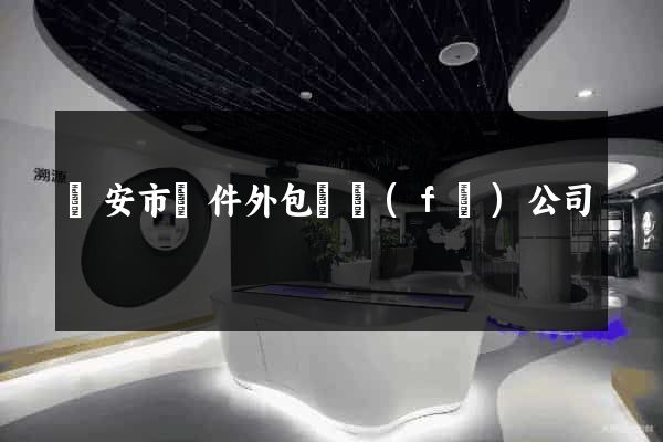 臨安市軟件外包開發(fā)公司