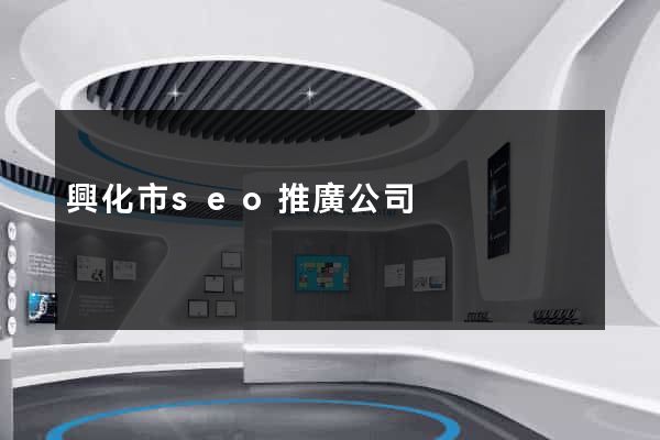 興化市seo推廣公司