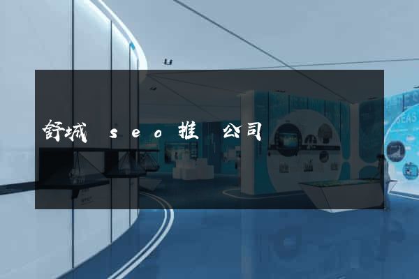 舒城縣seo推廣公司