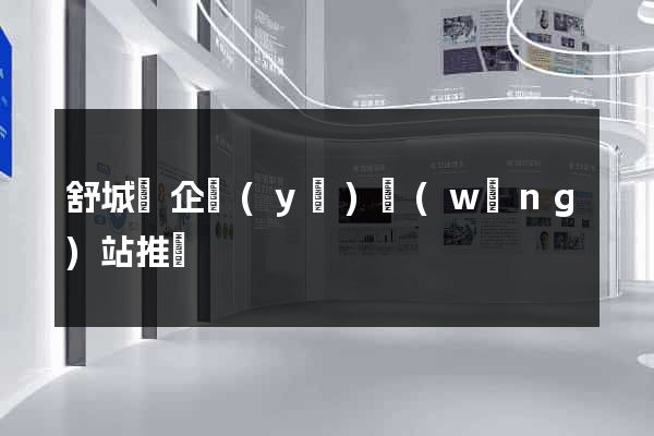 舒城縣企業(yè)網(wǎng)站推廣