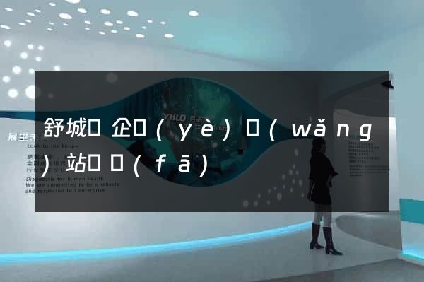 舒城縣企業(yè)網(wǎng)站開發(fā)