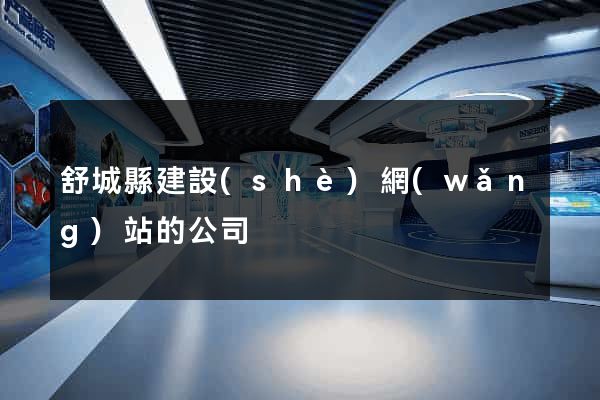 舒城縣建設(shè)網(wǎng)站的公司