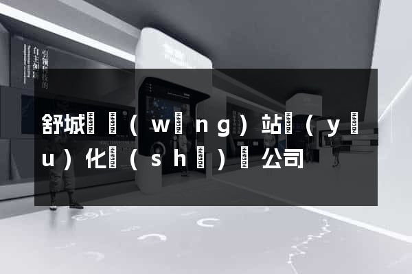 舒城縣網(wǎng)站優(yōu)化設(shè)計公司