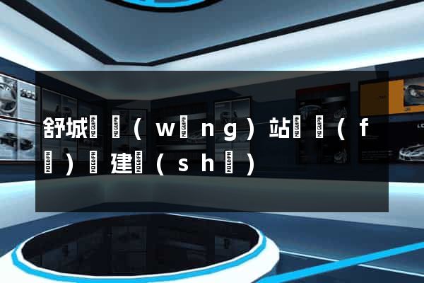 舒城縣網(wǎng)站開發(fā)與建設(shè)