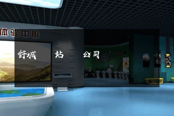 舒城縣網站設計公司