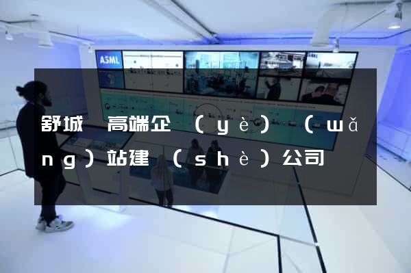 舒城縣高端企業(yè)網(wǎng)站建設(shè)公司