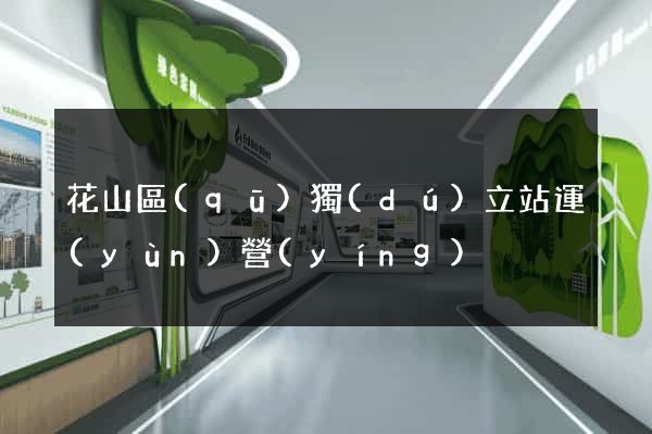 花山區(qū)獨(dú)立站運(yùn)營(yíng)