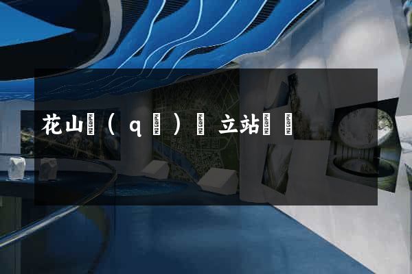 花山區(qū)獨立站運營