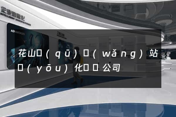 花山區(qū)網(wǎng)站優(yōu)化設計公司