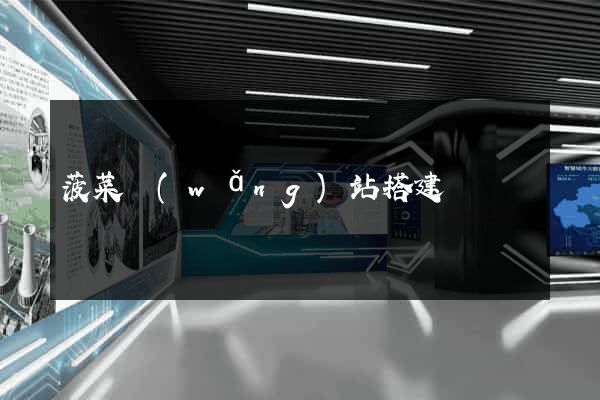菠菜網(wǎng)站搭建