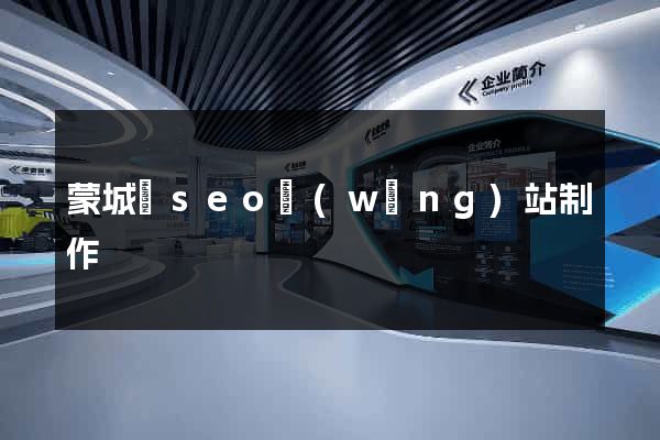 蒙城縣seo網(wǎng)站制作