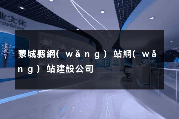 蒙城縣網(wǎng)站網(wǎng)站建設公司