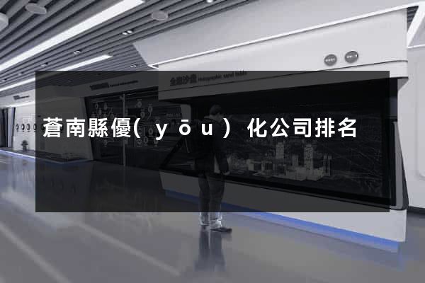蒼南縣優(yōu)化公司排名