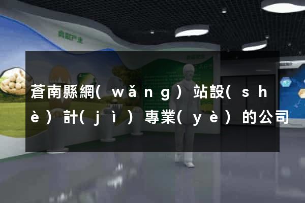 蒼南縣網(wǎng)站設(shè)計(jì)專業(yè)的公司