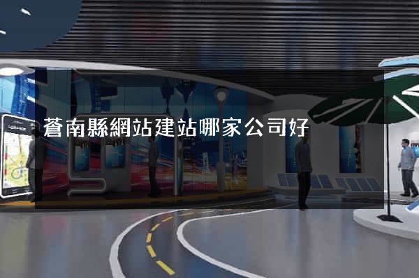 蒼南縣網站建站哪家公司好
