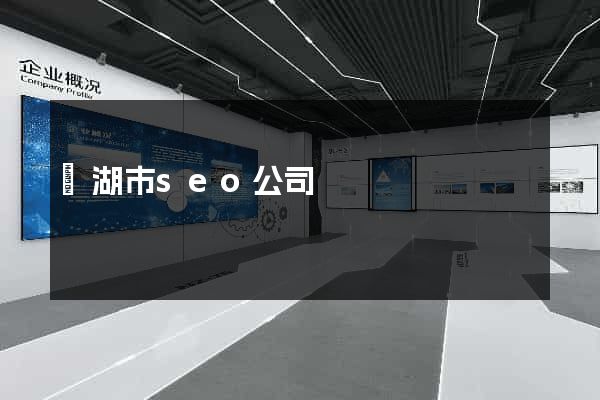 蕪湖市seo公司
