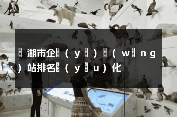 蕪湖市企業(yè)網(wǎng)站排名優(yōu)化