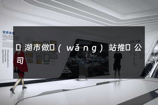蕪湖市做網(wǎng)站推廣公司