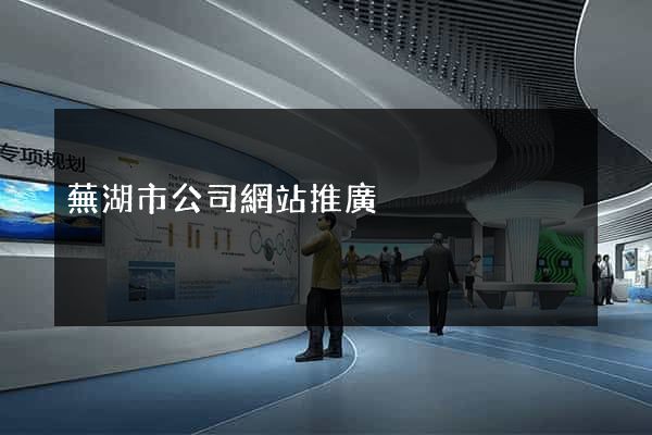 蕪湖市公司網站推廣