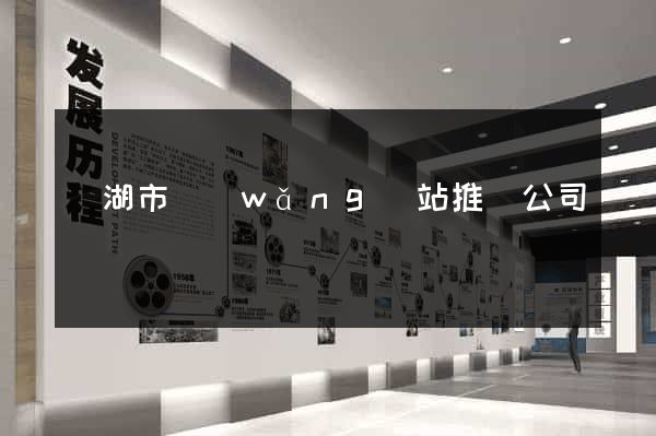 蕪湖市網(wǎng)站推廣公司