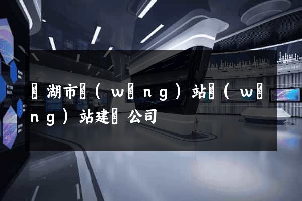 蕪湖市網(wǎng)站網(wǎng)站建設公司