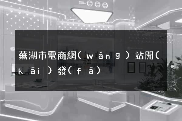 蕪湖市電商網(wǎng)站開(kāi)發(fā)