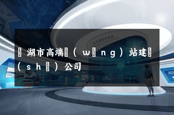 蕪湖市高端網(wǎng)站建設(shè)公司