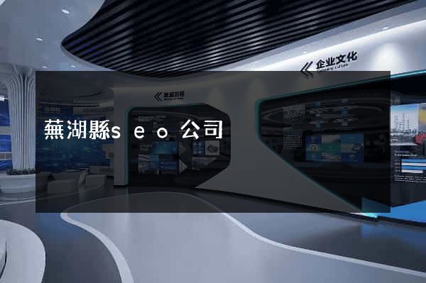 蕪湖縣seo公司