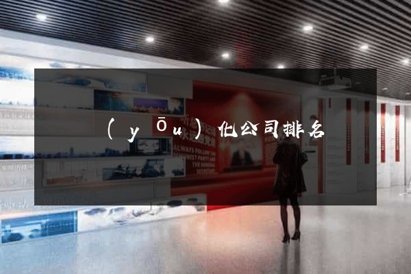 蕭縣優(yōu)化公司排名