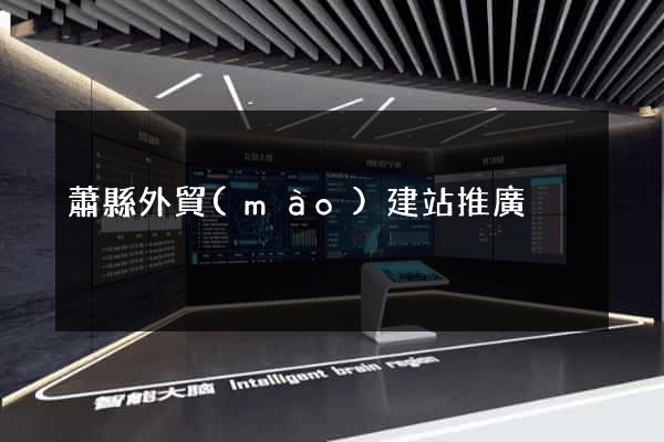 蕭縣外貿(mào)建站推廣
