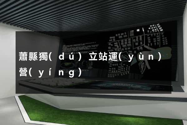 蕭縣獨(dú)立站運(yùn)營(yíng)