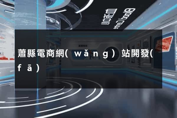 蕭縣電商網(wǎng)站開發(fā)