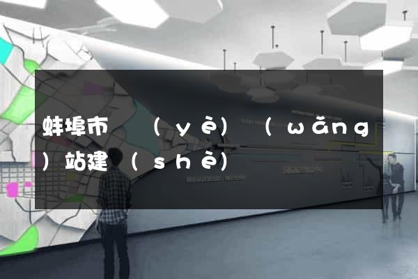 蚌埠市專業(yè)網(wǎng)站建設(shè)