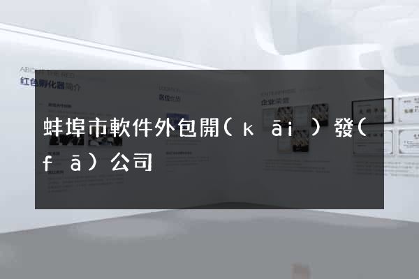 蚌埠市軟件外包開(kāi)發(fā)公司