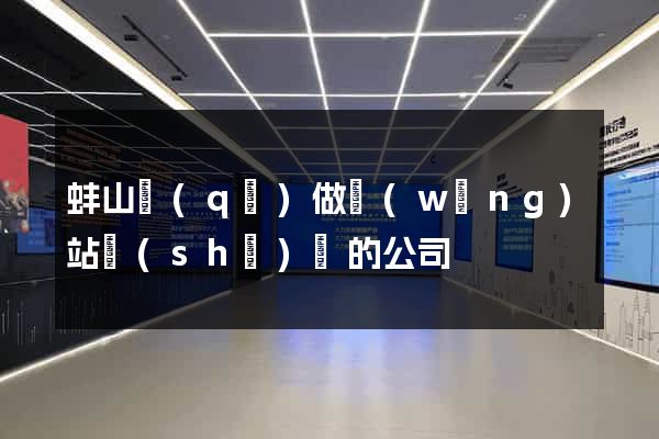 蚌山區(qū)做網(wǎng)站設(shè)計的公司